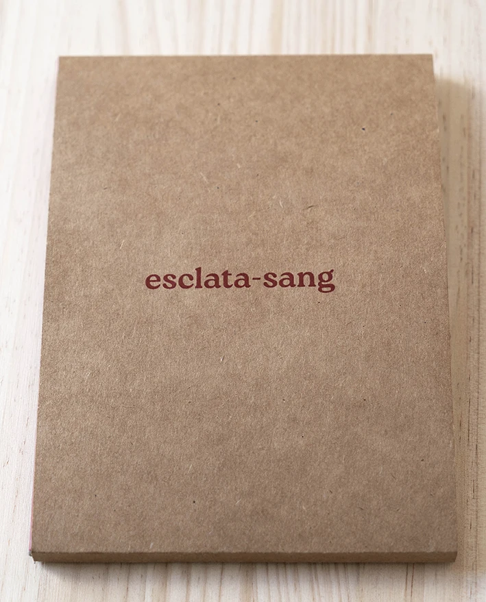 Diseño packaging fotolibro