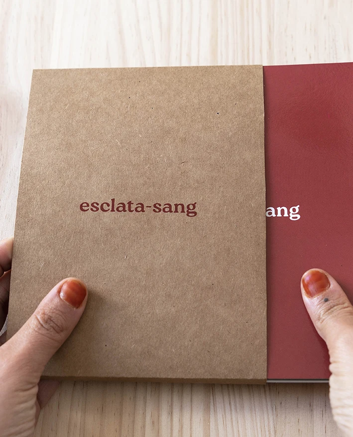 Diseño packaging fotolibro